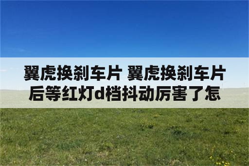 翼虎换刹车片 翼虎换刹车片后等红灯d档抖动厉害了怎么回事