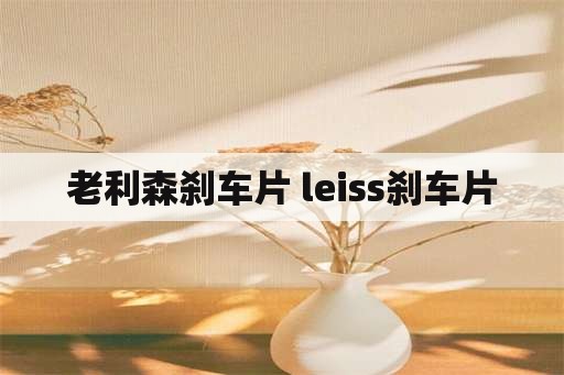 老利森刹车片 leiss刹车片