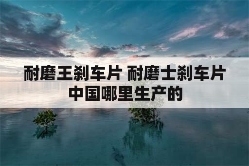 耐磨王刹车片 耐磨士刹车片中国哪里生产的