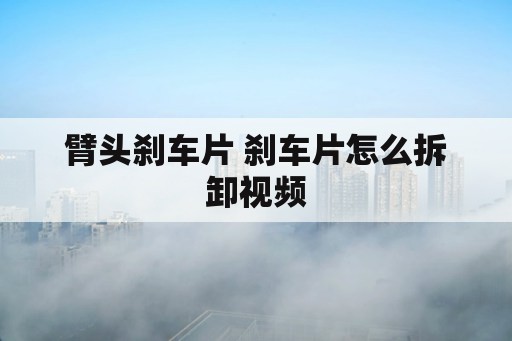 臂头刹车片 刹车片怎么拆卸视频