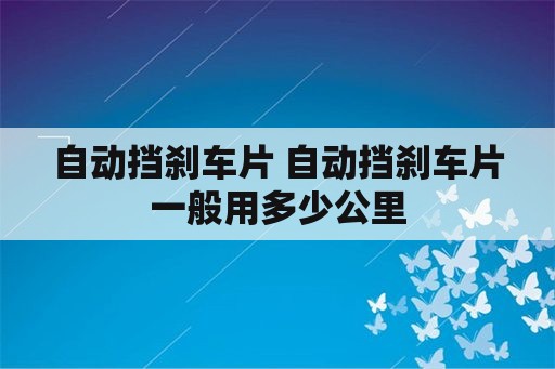 自动挡刹车片 自动挡刹车片一般用多少公里