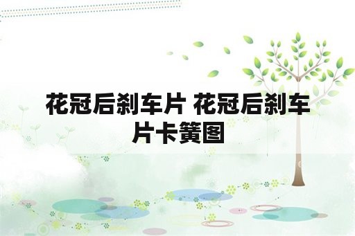 花冠后刹车片 花冠后刹车片卡簧图