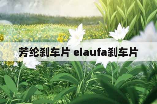 芳纶刹车片 eiaufa刹车片