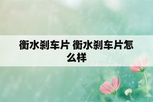 衡水刹车片 衡水刹车片怎么样