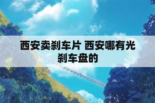 西安卖刹车片 西安哪有光刹车盘的