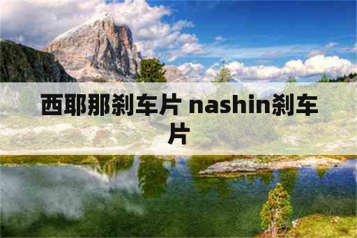 西耶那刹车片 nashin刹车片