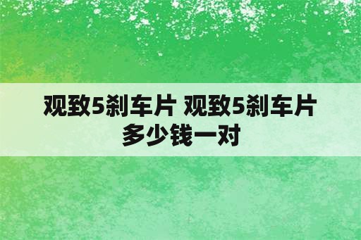 观致5刹车片 观致5刹车片多少钱一对