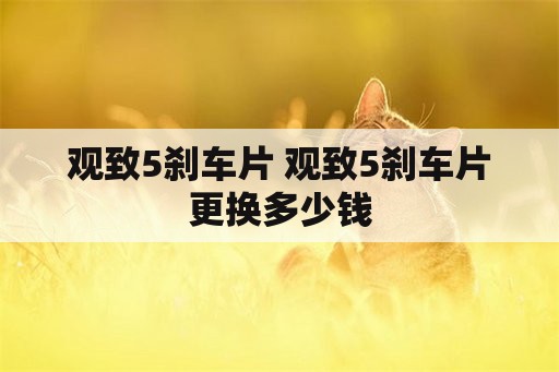 观致5刹车片 观致5刹车片更换多少钱