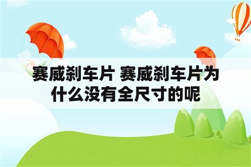 赛威刹车片 赛威刹车片为什么没有全尺寸的呢