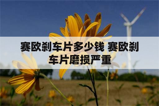 赛欧刹车片多少钱 赛欧刹车片磨损严重