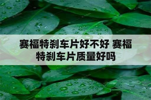 赛福特刹车片好不好 赛福特刹车片质量好吗