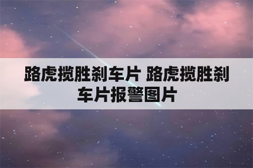 路虎揽胜刹车片 路虎揽胜刹车片报警图片