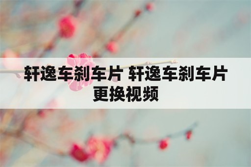 轩逸车刹车片 轩逸车刹车片更换视频