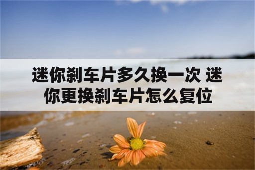 迷你刹车片多久换一次 迷你更换刹车片怎么复位