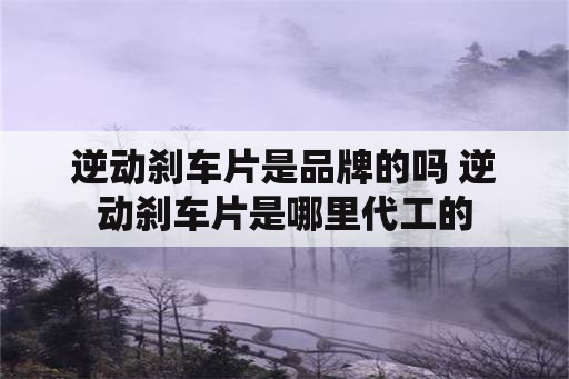 逆动刹车片是品牌的吗 逆动刹车片是哪里代工的