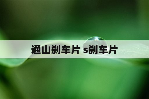 通山刹车片 s刹车片