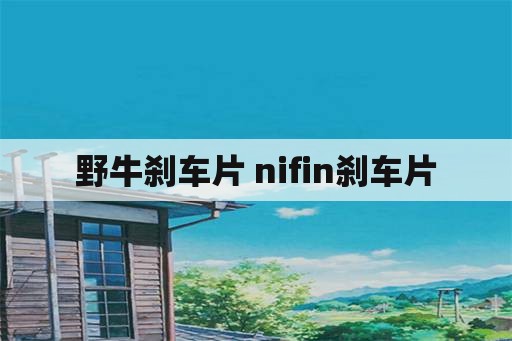 野牛刹车片 nifin刹车片