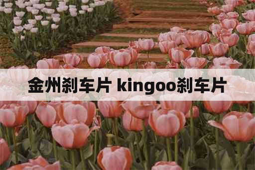 金州刹车片 kingoo刹车片