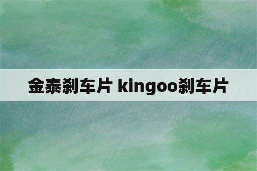 金泰刹车片 kingoo刹车片