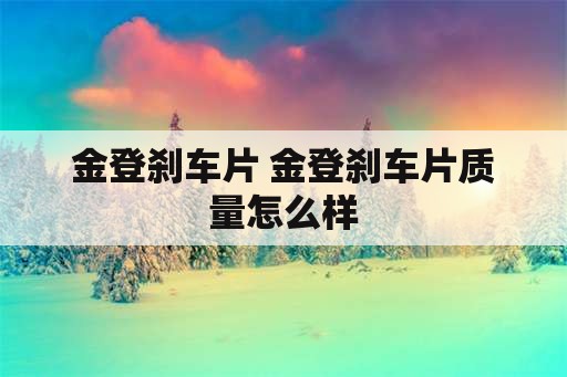 金登刹车片 金登刹车片质量怎么样