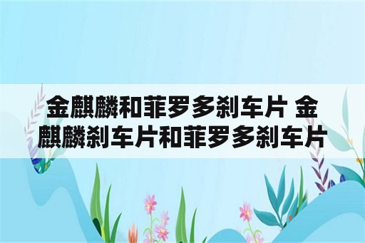 金麒麟和菲罗多刹车片 金麒麟刹车片和菲罗多刹车片