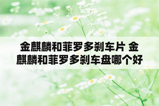 金麒麟和菲罗多刹车片 金麒麟和菲罗多刹车盘哪个好