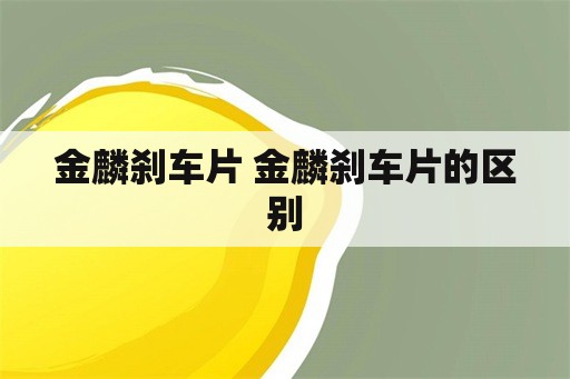 金麟刹车片 金麟刹车片的区别