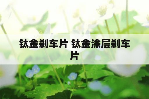 钛金刹车片 钛金涂层刹车片