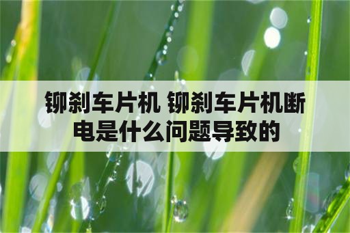 铆刹车片机 铆刹车片机断电是什么问题导致的