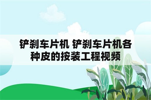 铲刹车片机 铲刹车片机各种皮的按装工程视频