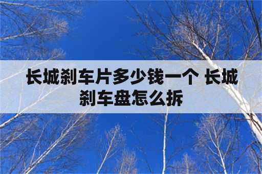 长城刹车片多少钱一个 长城刹车盘怎么拆