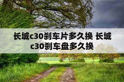 长城c30刹车片多久换 长城c30刹车盘多久换