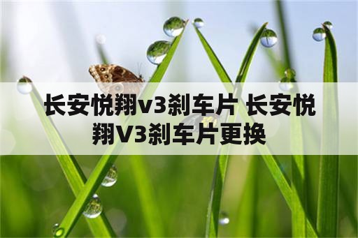 长安悦翔v3刹车片 长安悦翔V3刹车片更换