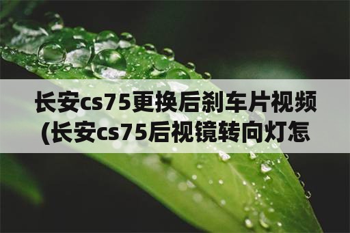 长安cs75更换后刹车片视频(长安cs75后视镜转向灯怎么换？)