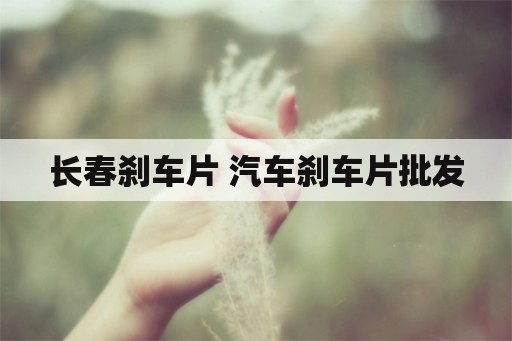 长春刹车片 汽车刹车片批发