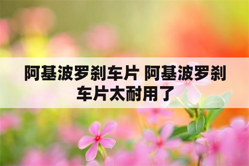 阿基波罗刹车片 阿基波罗刹车片太耐用了