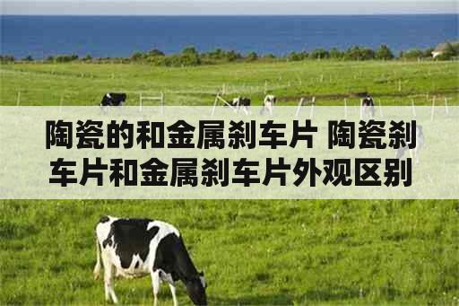 陶瓷的和金属刹车片 陶瓷刹车片和金属刹车片外观区别