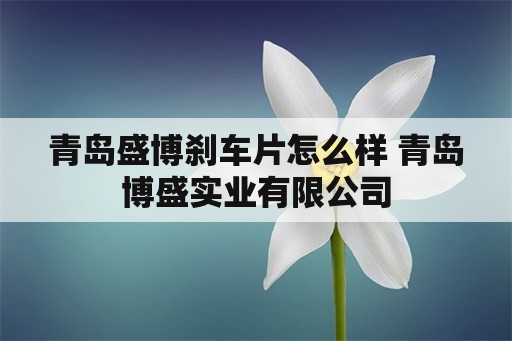 青岛盛博刹车片怎么样 青岛博盛实业有限公司