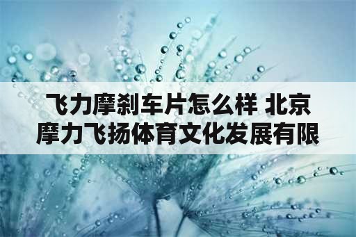 飞力摩刹车片怎么样 北京摩力飞扬体育文化发展有限公司