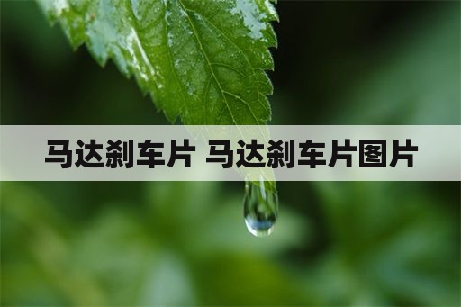 马达刹车片 马达刹车片图片