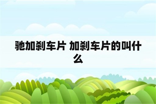 驰加刹车片 加刹车片的叫什么