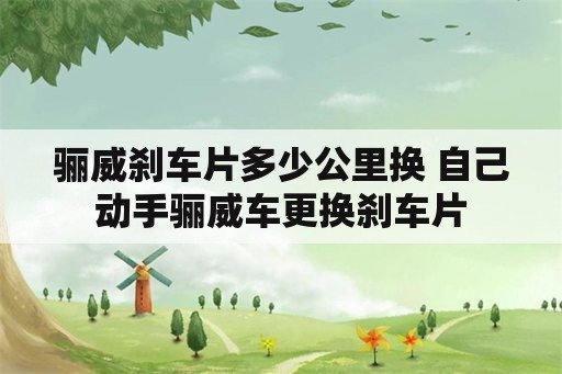 骊威刹车片多少公里换 自己动手骊威车更换刹车片