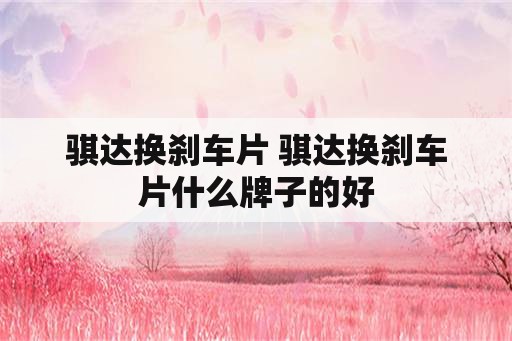 骐达换刹车片 骐达换刹车片什么牌子的好