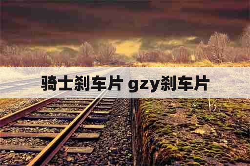 骑士刹车片 gzy刹车片