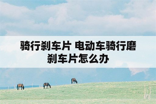 骑行刹车片 电动车骑行磨刹车片怎么办