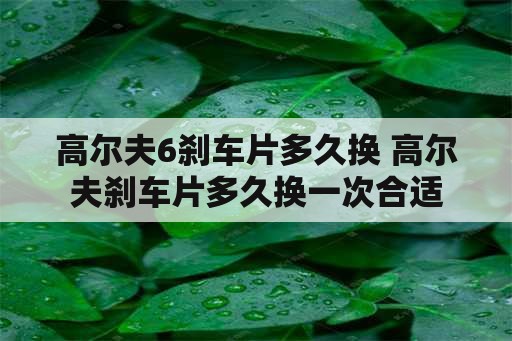 高尔夫6刹车片多久换 高尔夫刹车片多久换一次合适