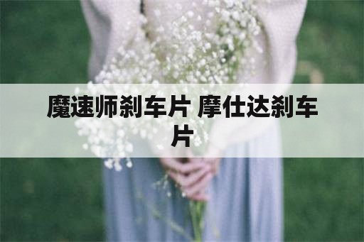 魔速师刹车片 摩仕达刹车片