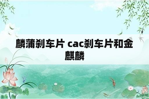 麟蒲刹车片 cac刹车片和金麒麟