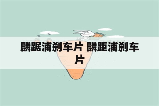 麟踞浦刹车片 麟距浦刹车片