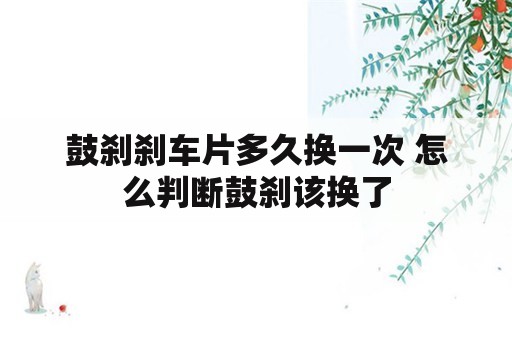 鼓刹刹车片多久换一次 怎么判断鼓刹该换了